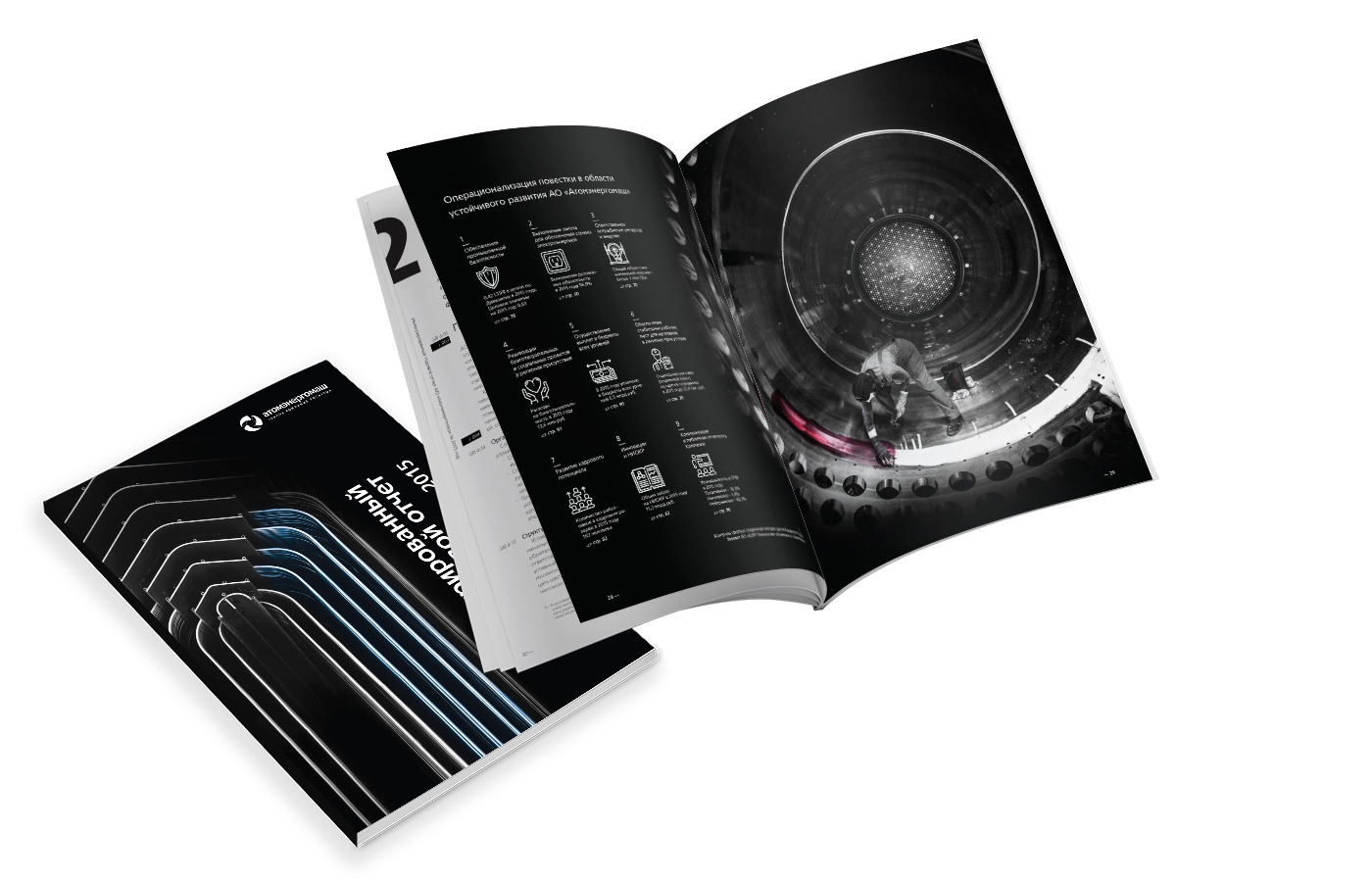 Годовой отчет АО «Атомэнергомаш»